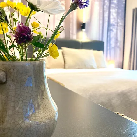 Bed & Breakfast Het Roerhofje